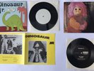 DINOSAUR Jr RARE WTF 7