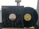 THE HOLLYWOOD DISCO JAZZ BAND FEAT.THE WATERS DON’S PLACE 12” A&M DISCO SP1206