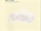 Built To Spill - There's Nothing Wrong With Love (Vinyl)