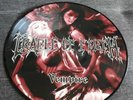 Rare Cradle Of Filth - Vempire Or Dark Faerytales In Phallustein - Picture Disc