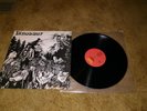 Dinosaur Dinosaur Vinyl Record LP 12