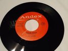 The Raiders PROMO Hocus Pocus 45 Andex Doo Wop Garage Rockabilly SEE PHOTOS - EX
