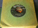 LOT#254 - 54 VINYL RECORDS - 50s & 60s Doowop,rock,r&b,rockabilly,beach,hot rods