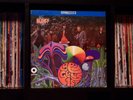 ???? Bee Gees ? Bee Gees' 1st ? RARE 1967 Atco Records ORIGINAL First Press LP ????