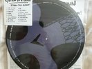 System Of A Down - Steal This Album Double Album Picture Disc LPs