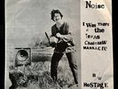 RARE - AMBIENT NOISE - PUNK 45 RECORD + PICTURE SLEEVE