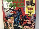 vintage book and record-Planet of the Apes-Power Records