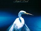 FAITH NO MORE Angel Dust 180gm Vinyl LP NEW & SEALED Music On Vinyl