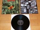 Terrorizer ?– World Downfall - LP - Earache ?- MOSH 16 Inner Sleeve Morbid Angel