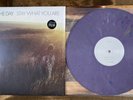 SAVES THE DAY STAY WHAT YOU ARE VINYL LP /600 thursday thrice relient k afi