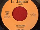 Ice Roxanne - LITTLE ICE - G. Jaguar G-A-1 - 1980s Girl Female Random Rap 45