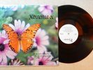 KOINONIA: s/t LP private '78 Xian psych rock funk breaks hear