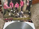 me first and the gimme gimmes rake it in euro fat store lp nofx fat wreck