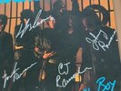 Ramones Signed animal boy Record