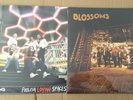 BLOSSOMS - 2 X VINYL L.P'S - FOOLISH LOVING SPACES & DEBUT ALBUM NEW/SEALED