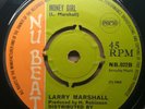 LARRY MARSHALL  