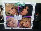 POISON Look What the Cat Dragged In LP ORIGINAL 1986 ENIGMA SHRINK HYPE STICKER