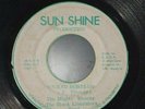 The Mighty Waners /The Black Liberators Band ?– Wicked Babylon (7
