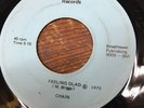 Chain - Feeling Glad / Down And Wired 45 On Aura Michigan Rare Psych Jazz Funk