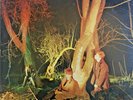 ECHO AND THE BUNNYMEN - Crocodiles - Vinyl LP 1st Press SRK 6096 1980 Sterling