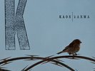 Kaos - Karma - 2 Vinili