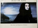 Dead Or Alive ?– Mad, Bad And Dangerous To Know LP Colombian Press 1986