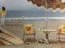 Neil Young On The Beach 1974 Vynal
