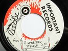 70's / 80's ROCK / PUNK / NEW WAVE -- ERRATIC -- I WRECKED MYSELF -- Important