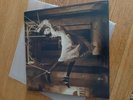 PORCUPINE TREE SIGNIFY SPOT VARNISH SLEEVE 2LP VINYL