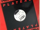 Larry Levan Playlist - Joubert Singers - Stand On The Word -  Next Plateau 12”