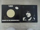 T.REX -( BOLAN )- DANDY IN THE UNDERWORLD GERMAN VINYL LP SIGNED BY STEVE HARLEY