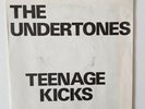 Undertones Teenage Kicks 1978 near mint punk origional