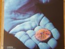 Coldplay - Blue Room EP 12