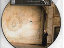 ABBA AGNETHA FÄLTSKOG PICTURE DISC 