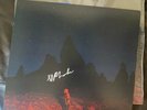 Phoebe Bridgers - Punisher Peacock Splash Blue Green LP Vinyl + SIGNED PRINT
