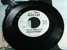 RARE  SOUL - CHARLES BRANDY - BLUE CAT - PROMO - ORIGINAL - HEAR