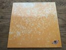 Michael Franks ?- Sleeping Gypsy - Warner Bros Records WB 56 346 Lyric insert