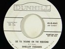 Shelley Fabares 