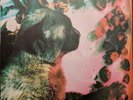 Pale Saints - The Comfort of Madness - cad 0002 - vinyl lp - 1990
