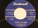 CASEY CLARK  Chokin The Reeds / Out Of The Darkness BOULEVARD MICHIGAN Bopper