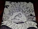 Ryan Adams and The Cardinals Cardinology Vinyl LP Autographed