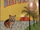 Best Coast - Crazy for You LP sealed vinyl
