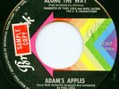 ADAMS APPLES on Brunswick —A STOP ALONG THE WAY— northern soul 45