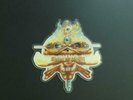 IRON MAIDEN THE CLAIRVOYANT 1988 UK PRESS 7