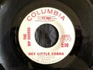 Rip Chords, Columbia 42921, Hey Little Cobra & The Queen, Classic hot rod song ?