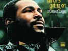 MARVIN GAYE WHAT'S GOING ON 180 GRAM VINYL NEW & SEALED