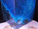 M- 1970 ?? LOVE ?? OUT HERE Arthur Lee HEAVY FUZZ WEST COAST PSYCH EPIC 2-LP SET