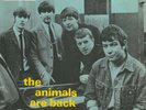 EP 7'' - The Animals - The Animals Are Back - Columbia SEG 8452 - 1965 - DE