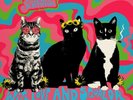 WE ARE SCIENTISTS With Love And Squalor - Live in Woodstock 1969 - LP / Vinyl