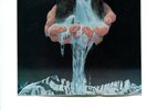 Paul McCartney Waterfalls 7 Inch Single 45 With Picture Sleeve NM PS